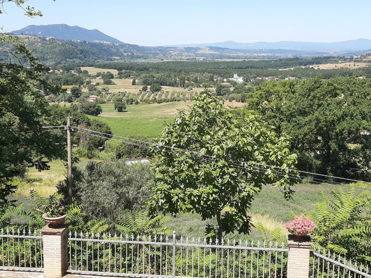 Villa Pacchini Poggio Mirteto Екстериор снимка