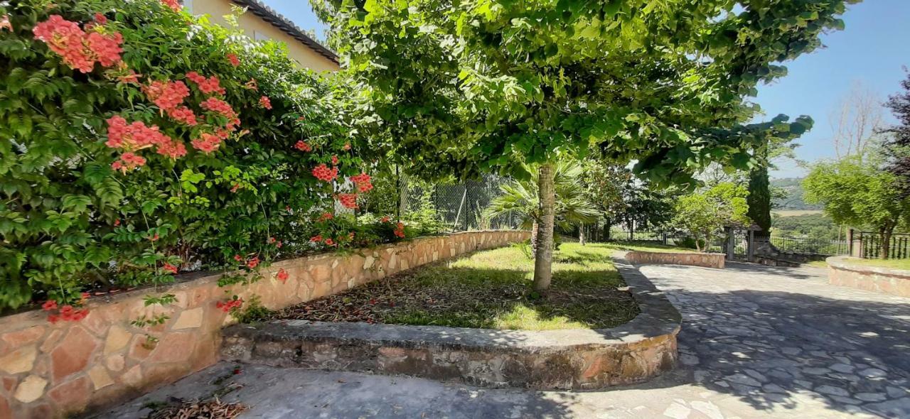 Villa Pacchini Poggio Mirteto Екстериор снимка
