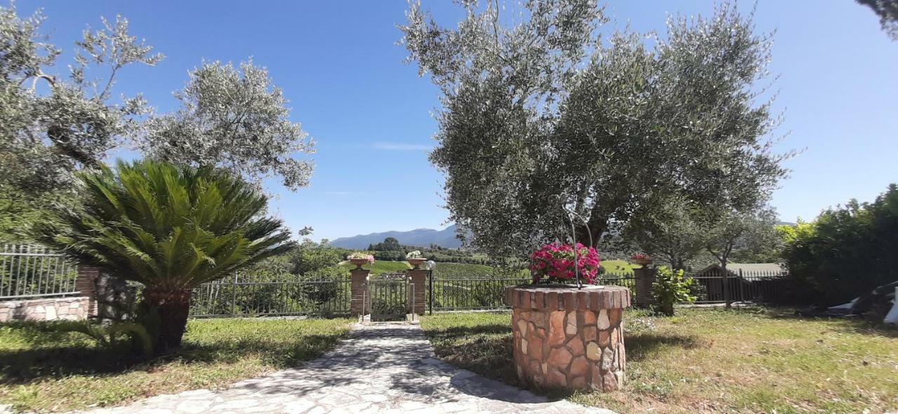 Villa Pacchini Poggio Mirteto Екстериор снимка